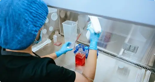 In situ laboratory 2